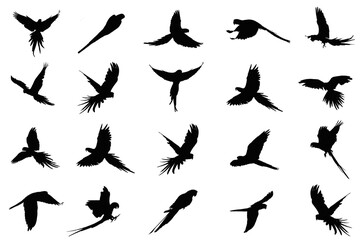 Wall Mural - set of birds, silhouettes, icons set of birds, 