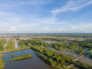 Wall Mural - Aerial view of mangrove forest and shrimp farming in Tra Vinh province, Vietnam