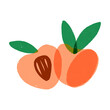 Cute retro-style pair of fresh minimalistic peaches with a grunge shabby effect. Vintage-style fruit vector illustration