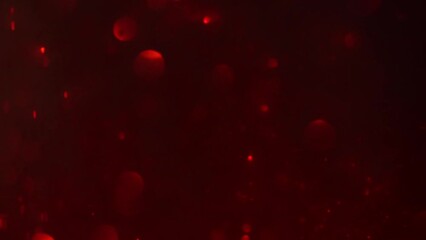 Wall Mural - red bokeh particles motion background. flying red defocused circles and glitters particles. romantic