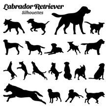 Set Labrador Retriever Silhouette Vector Illustration.