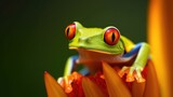 Fototapeta Zwierzęta - Macro photograph of a Red-eyed tree frog. Generative AI