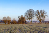 Fototapeta Łazienka - Landscape in winter