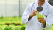 © Prathankarnpap - Cropped shot of agricultural researcher with magnifying glass observing organic vegetable in greenhouse