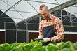 © Prathankarnpap - Young smart farmer using digital tablet at hydroponic greenhouse. Innovation technology for smart farm system concept