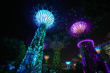 Wall Mural - Futuristic wide angle video of the light show during the night from Garden by the Bay landmark in Singapore, 2023.