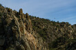 © Gustavo Palacios - Griffon vultures' nest on granite rock against a backdrop of trees and green plants