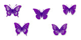 Fototapeta Motyle - Collection of purple butterflies