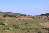 Fototapeta Do pokoju - Vue sur le Beaujolais depuis le Village de Oingt