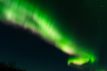 imagen de un paisaje nocturno nevado con una aurora boreal en el cielo de islandia
