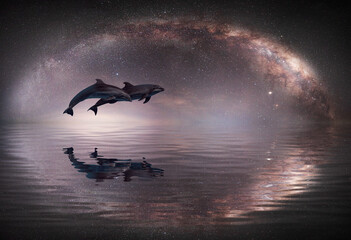 Wall Mural - Couple jumping dolphins with Milky Way galaxy 