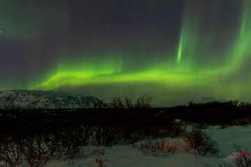imagen de un paisaje nocturno nevado con montañas al fondo y una aurora boreal en el cielo de island