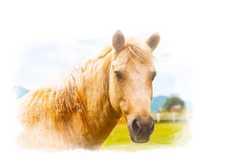 Close up portrait of young horse in farm with background of mountainscape and cloudy sky. Light brown horse is looking at camera.