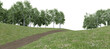 Realistic grass hill and path walk with forest tree line. 3d rendering of isolated objects.