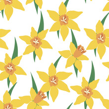 Vector Seamless Pattern Daffodil Flowers Yellow