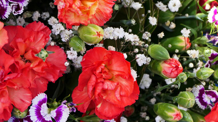 Wall Mural - close-up bouquet of colorful flowers