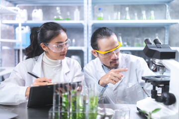 Wall Mural - Pharmaceutical factory woman worker in protective clothing operating production line in sterile environment, scientist with glasses and gloves checking hemp plants in a marijuana farm