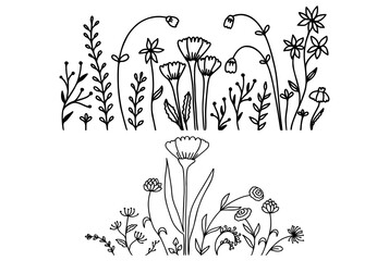 Wall Mural - Set of hand drawn doodle line flowers and plants. Vector illustration