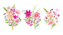 Set Of Bouquets With Meadow Pink Flowers And Leaves. Watercolor Floral Illustration