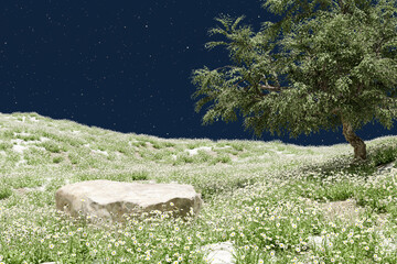 Wall Mural - Abstract 3d render platform natural background,  stone podium on the flowers and grass field with big tree backdrop night sky and star for product display, advertising or etc