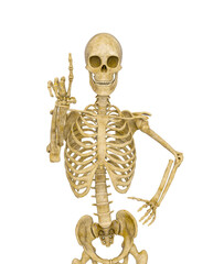 skeleton is pressing a virtual button in front view