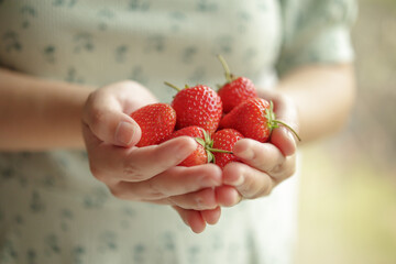 Canvas Print - Woman hands holding fresh red strawberries close up