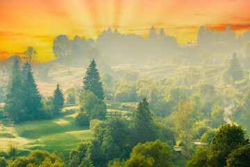 Wall Mural - Nature sunset landscape of country hills with fog mist on green trees