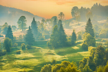 Wall Mural - Nature sunset landscape of country hills with fog mist on green trees