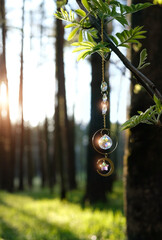 Wall Mural - suncatcher Crystal prism on abstract blurred sunny natural forest background. Magic crystal Ritual, Witchcraft, esoteric practice for harmony, calm soul, productive the mind. Feng Shui, reiki therapy