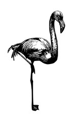 Wall Mural - flamingo silhouette