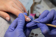 © Alina Kay - The process of creating a French manicure. Manicurist draws a white stripe on the nail. Gel polish coating
