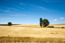 Castile And Leon Region Rural Landscape, Spain