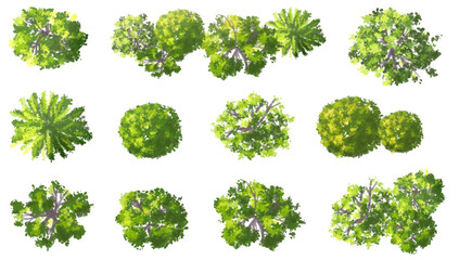 Wall Mural - vector watercolor of blooming tree top view isolated on white background for landscape plan and arch