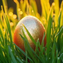 Shiny Fancy Easter Egg  In The Grass At Sunrise