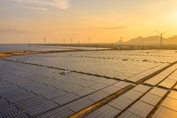 Wall Mural - Aerial view of Solar panel, photovoltaic, alternative electricity source - concept of sustainable resources on a sunny day, Phuoc Diem, Ninh Thuan, Vietnam