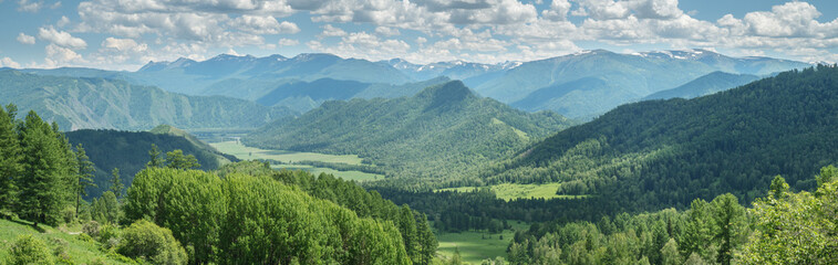 Wall Mural - View of the mountain valley, summer greenery, sunny day, panoramic view