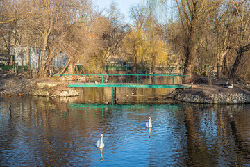 Wall Mural - lake in the park