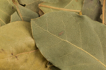 Wall Mural - dry bay leaves background