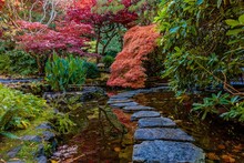 Gardens Of Butchart In Victoria BC Canada, Scenic View Of Colorful Flowers Blooming