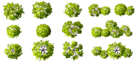 Wall Mural - vector watercolor of green tree top view isolated on white background for landscape layout plan and 