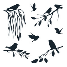 Birds On Branches Set. Vector Illustration