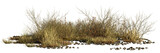 Fototapeta Przestrzenne - dry plants and pebbles, desert scene cut-out, isolated on transparent background banner