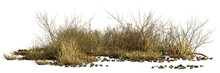Dry Plants And Pebbles, Desert Scene Cut-out, Isolated On Transparent Background Banner