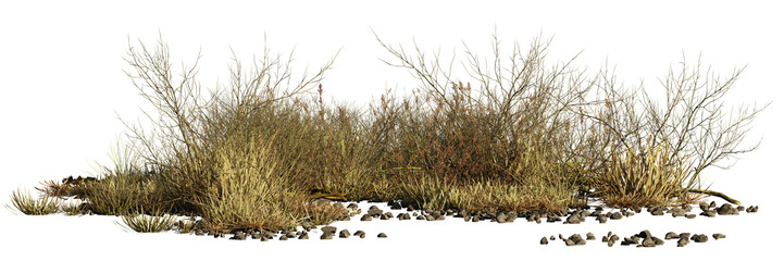 dry plants and pebbles, desert scene cut-out, isolated on transparent background banner