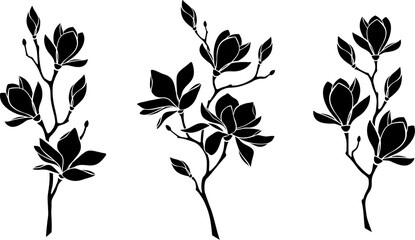 Wall Mural - Magnolia flowers. Set of magnolia branches. Vector black silhouettes isolated on a white background