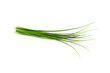 Fresh organic green chives, raw aromatic garden herbs Isolated against a transparent background.
