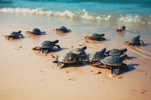 Many Baby Turtles On The Sandy Beach And Crawl To The Ocean. Generative AI