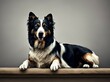 Australian sheepdog, mammal, pet, domestic animal - AI generated, generative AI

