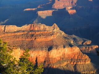 Wall Mural - Grand Canyon at dawn