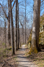 Indian Creek Nature Trail